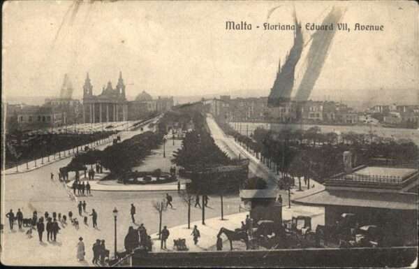 Malta Floriana Eduard Avenue Pferd