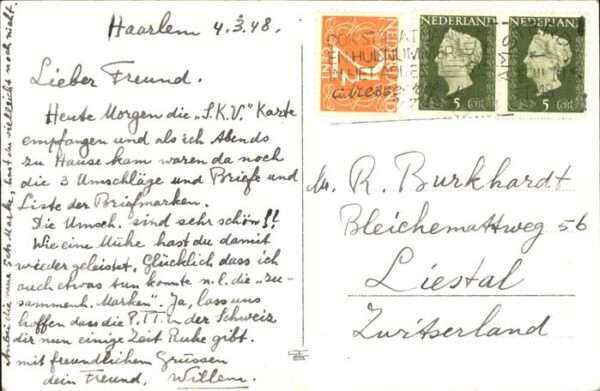 Haarlem friesch Landschap Kühe – Bild 2