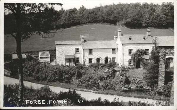 Force Mayenne