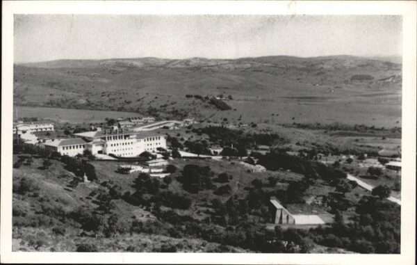 Minas
