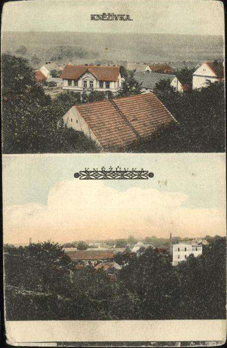 Knezivka