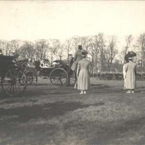 Rotterdam Kutsche Pferd