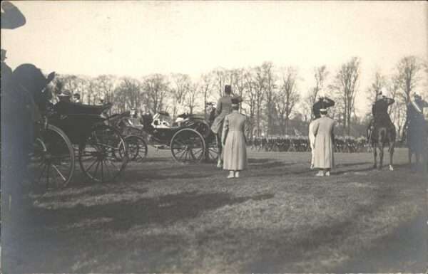 Rotterdam Kutsche Pferd