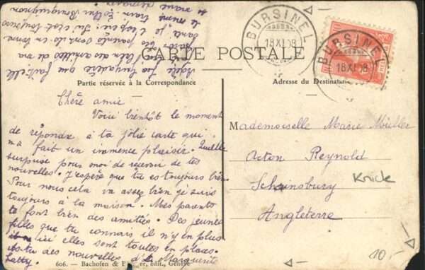 Bursinel Chateau et Ferme Pferd – Bild 2