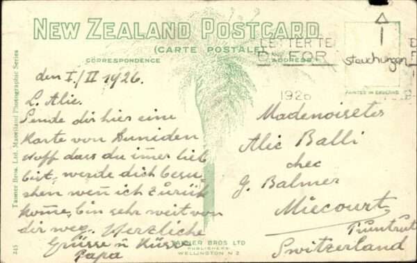 Dunedin Otago St. Clair
Strand – Bild 2