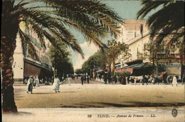 Tunis Avenue de France