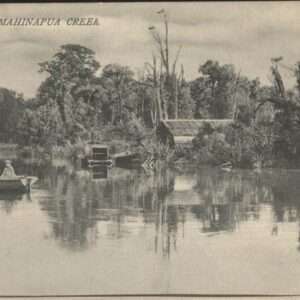 Mahinapua Creek Muir & Moodie