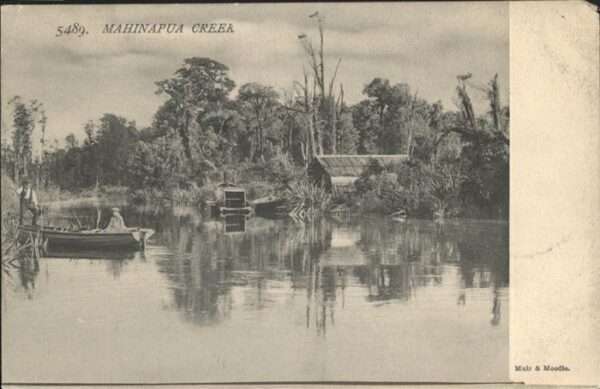 Mahinapua Creek Muir & Moodie