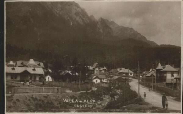 Busteni Valea-Alra