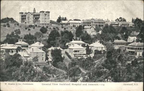 Auckland General View
Hospital
Annexes
