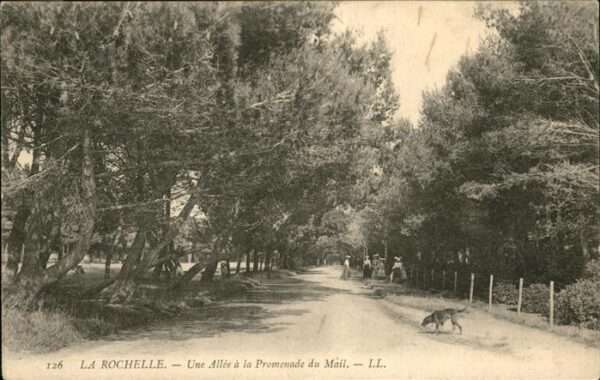 La Rochelle Charente-Maritime Allee du Mail