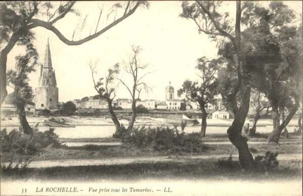 La Rochelle Charente-Maritime prise sous les Tamarins