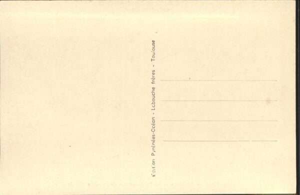 Pau 64 Pyrenees-Ocean place Royale – Bild 2