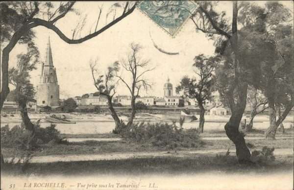La Rochelle Charente-Maritime Vue prise sous les Tamarins