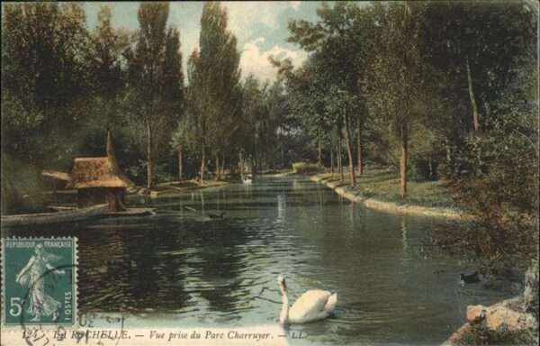 La Rochelle Charente-Maritime Parc Charrruyer Schwan