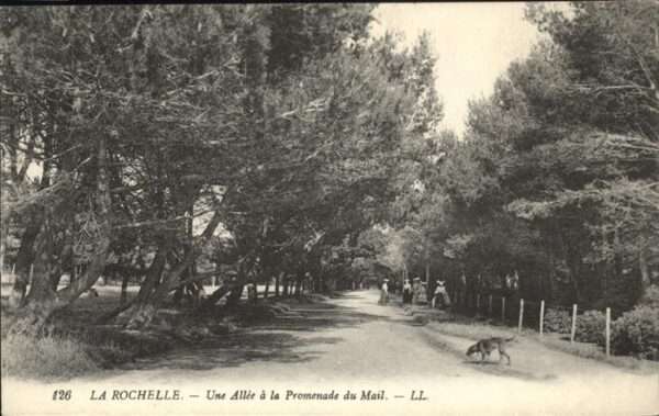 La Rochelle Charente-Maritime Allee Promenade du Mail Hund