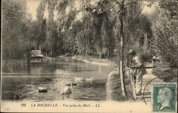 La Rochelle Charente-Maritime Schwan Ente