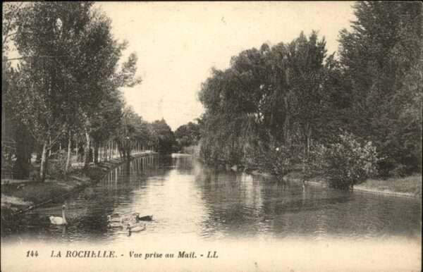 La Rochelle Charente-Maritime Schwan