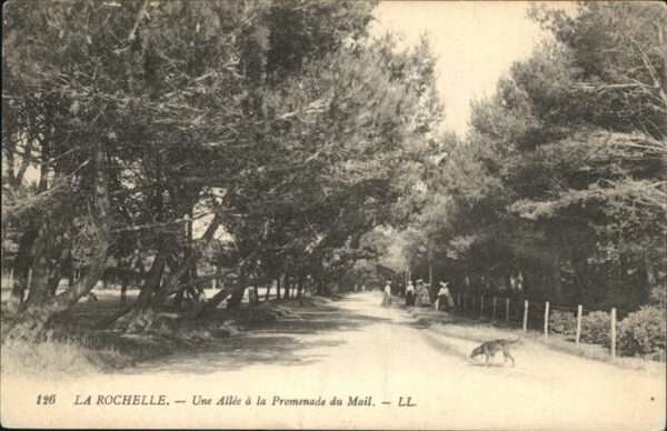 La Rochelle Charente-Maritime Allee Promenade Mail Hund