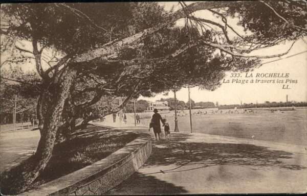 La Rochelle Charente-Maritime Plage travers Pins
