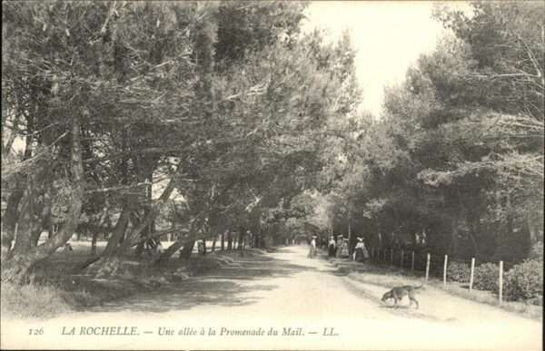 La Rochelle Charente-Maritime Promenade Mail Hund