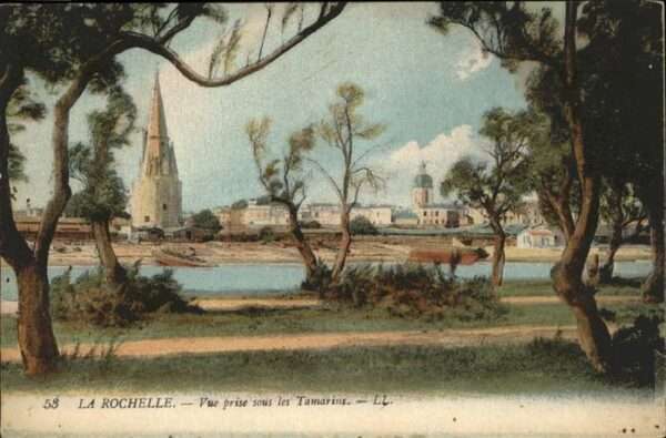 La Rochelle Charente-Maritime Tamarins