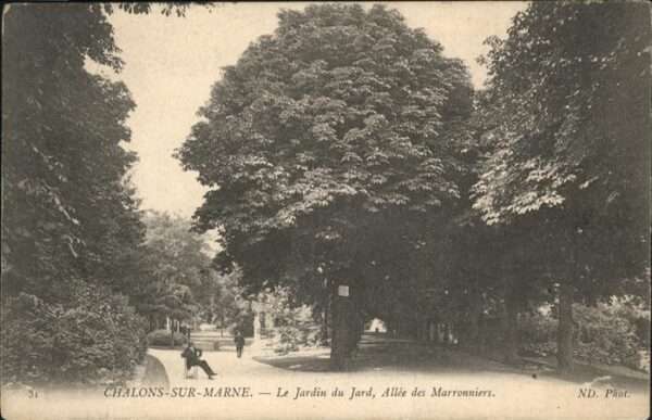 Chalons-en-Champagne Marne Jardin Allee Marronniers