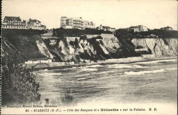 Biarritz Pyrenees Atlantiques Basques Helianthe Sur la Falaise