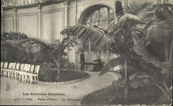 Pau 64 Palais Hiver Palmarium