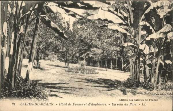Salies-de-Bearn Hotel de France Parc