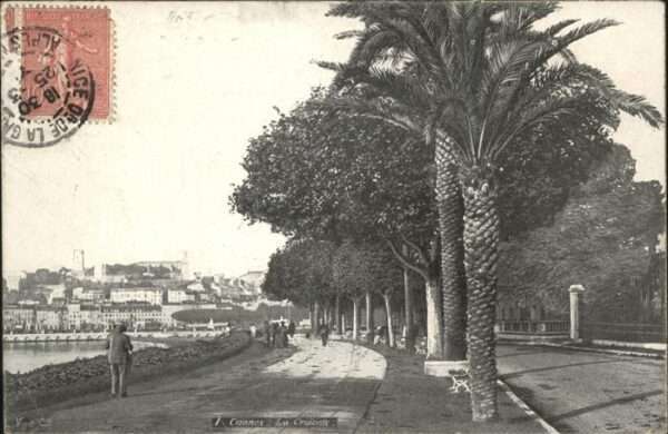 Cannes Alpes-Maritimes