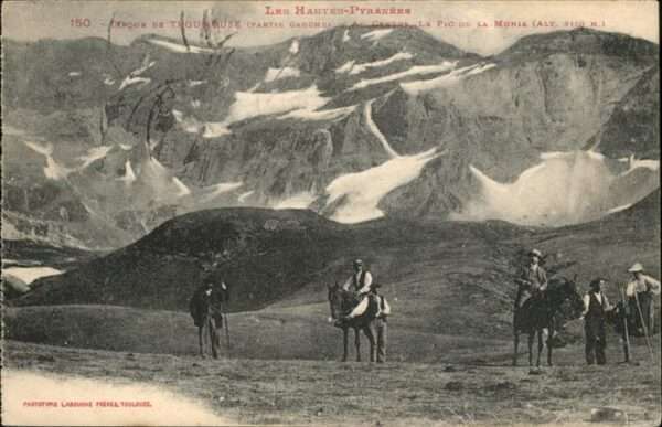 Tarbes Pferd