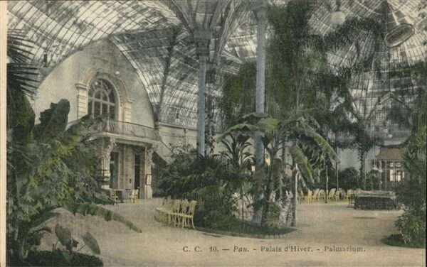 Pau 64 Palais Hiver Palmarium