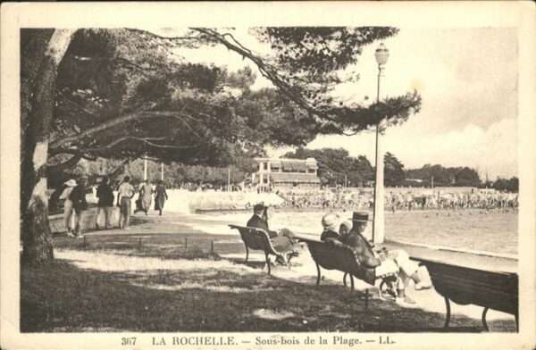 La Rochelle Charente-Maritime Sous bois Plage