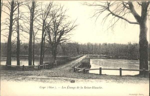 Coye-la-Foret Reine Blanche