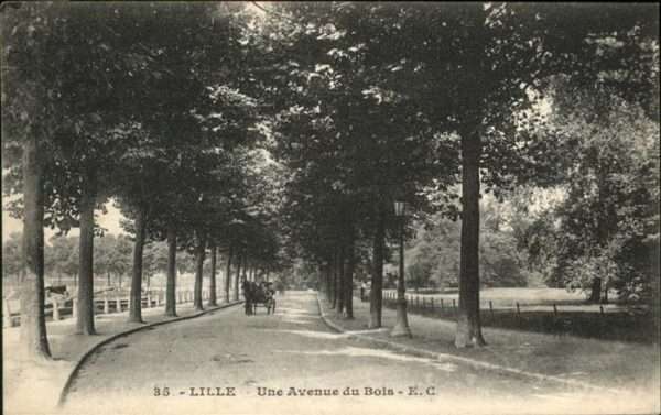 Lille Nord Avenue du Bois