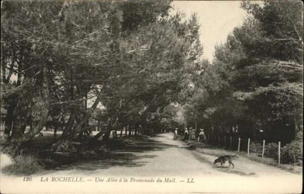 La Rochelle Charente-Maritime Allee a la Promenade du mail