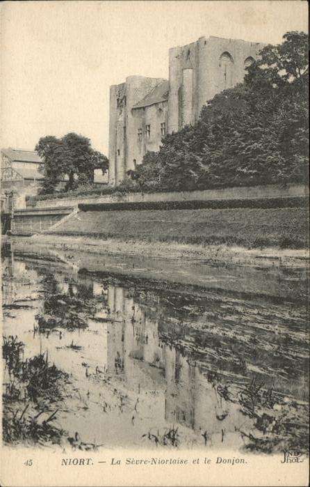 Niort 79 Sevre Niortaise Donjon