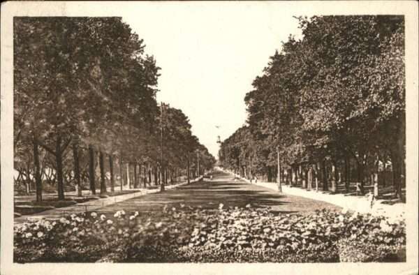 La Rochelle Charente-Maritime Le Mail