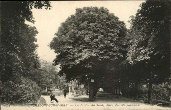 Chalons-en-Champagne Marne Jardin du Jard Allee des Marronieres