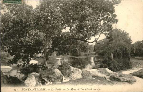 Fontainebleau La Foret