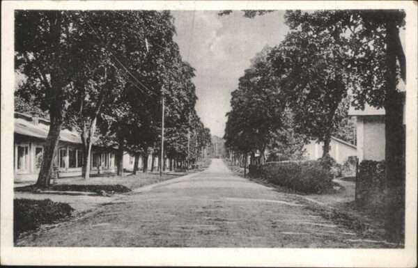 Oberhofen Elsass Hauptstraße zum Lager