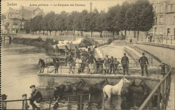 Sedan Ardennes Scene militaire Baignade Chevaux
