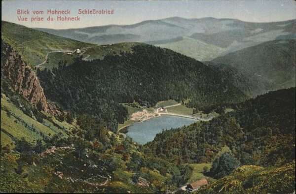 Hohneck Schießrotried