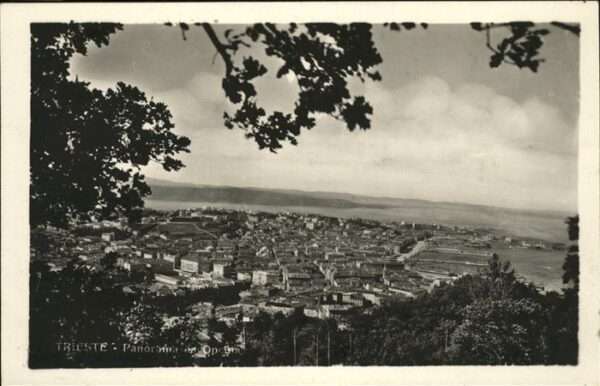 Trieste Panorama