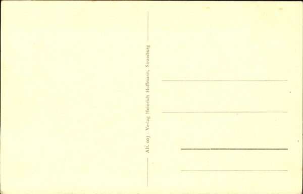 Altkirch Elsass Panorama – Bild 2