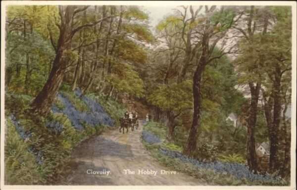 Clovelly Bay Waldweg
