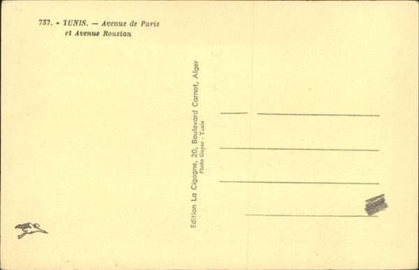 Tunis Avenue de Paris
Avenue Roustan – Bild 2
