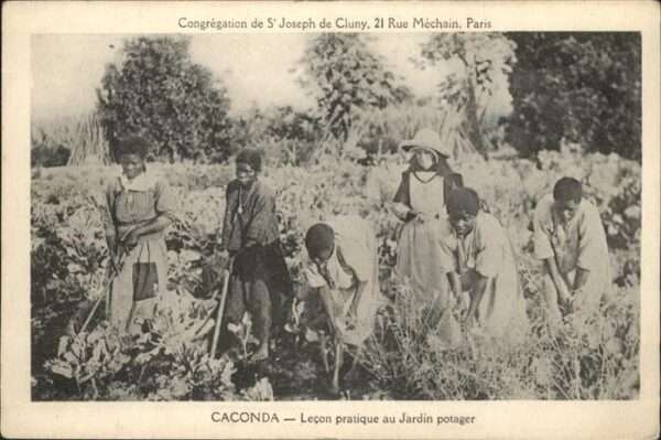 Caconda Angola Lecon pratique au Jardin potager