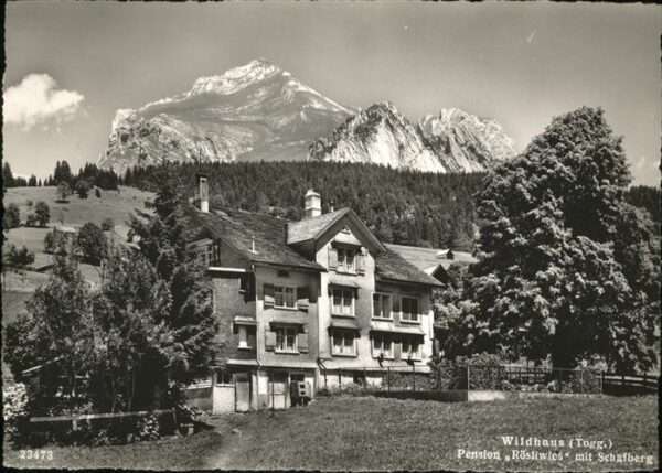 Wildhaus SG pension Rösliwies
Schafberg